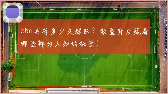 cba共有多少支球队?数量背后藏着哪些鲜为人知的秘密!